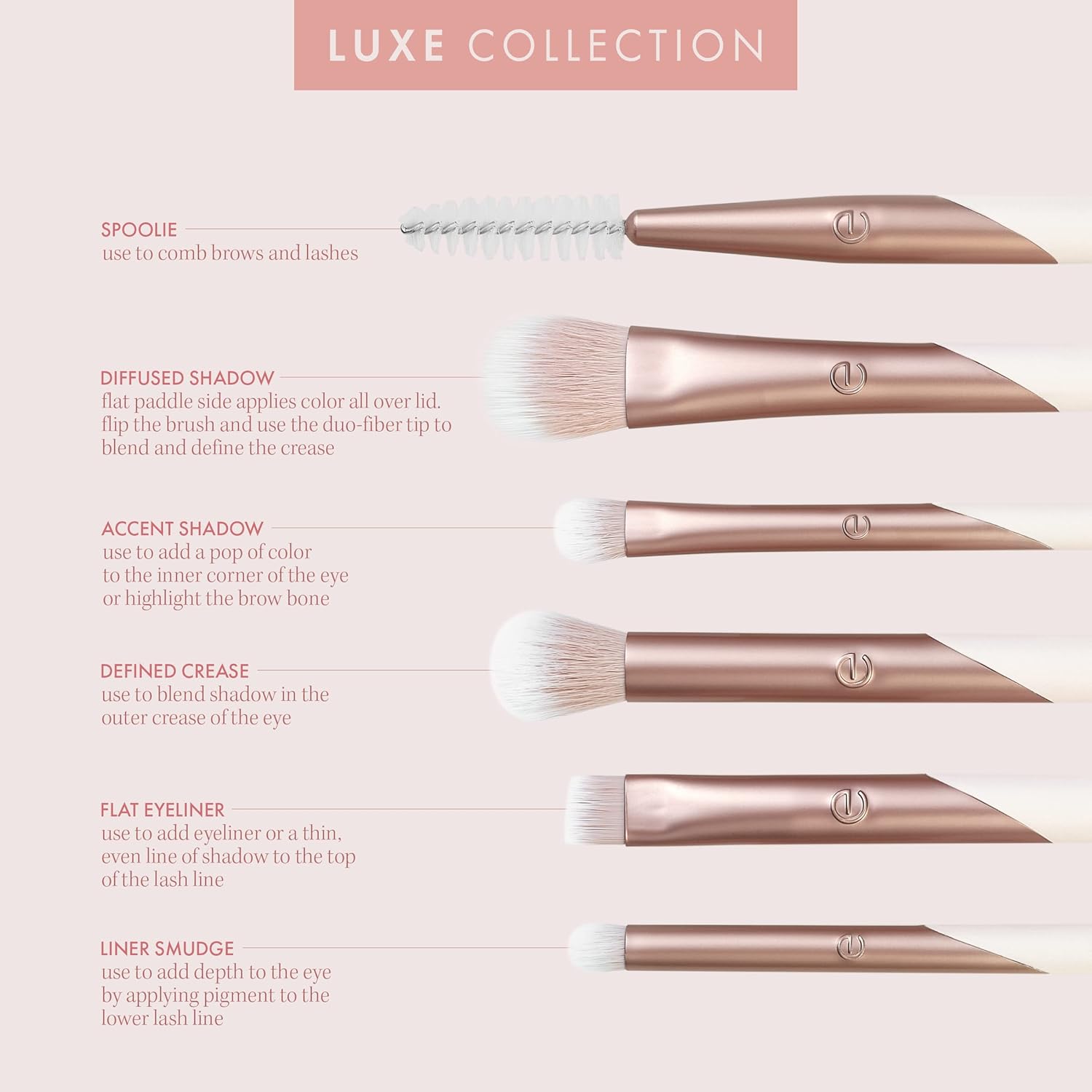 Professional 6-Piece Vegan Eye - Makeup Brush Set のレビューと価格